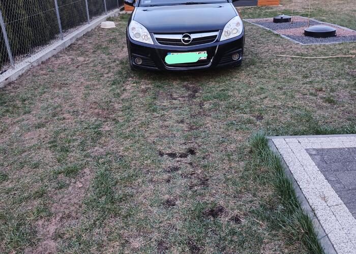 Grajewo ogłoszenia: Witam sprzedam opla signum 1.9 CDTI 120km 2006r więcej informacji...