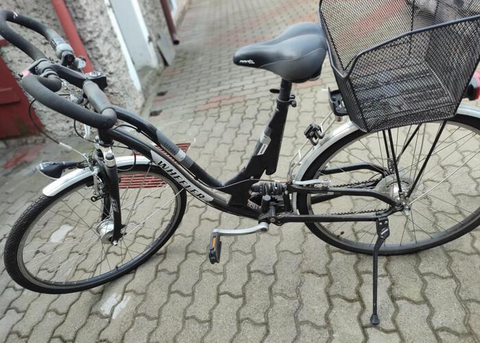 Grajewo ogłoszenia: Sprzedam damkę niemiecką