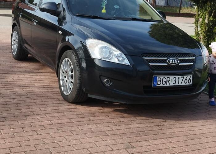 Grajewo ogłoszenia: Sprzedam kia cee'd 1.6 crdi bardzo oszczedny, prosty silnik bez...