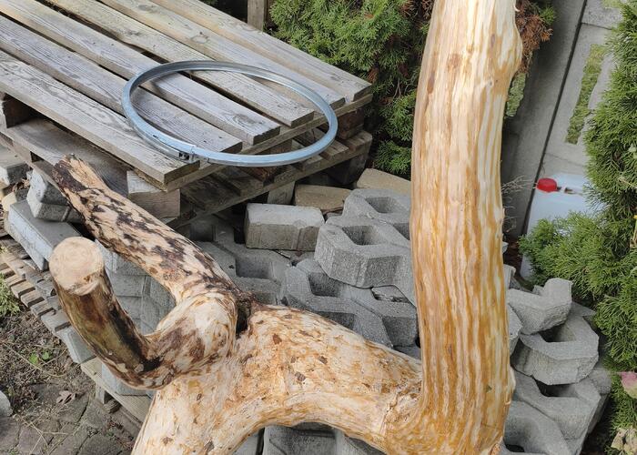 Grajewo ogłoszenia: Sprzedam widoczny pień idealny na stojak do kwiatów lub drapak...